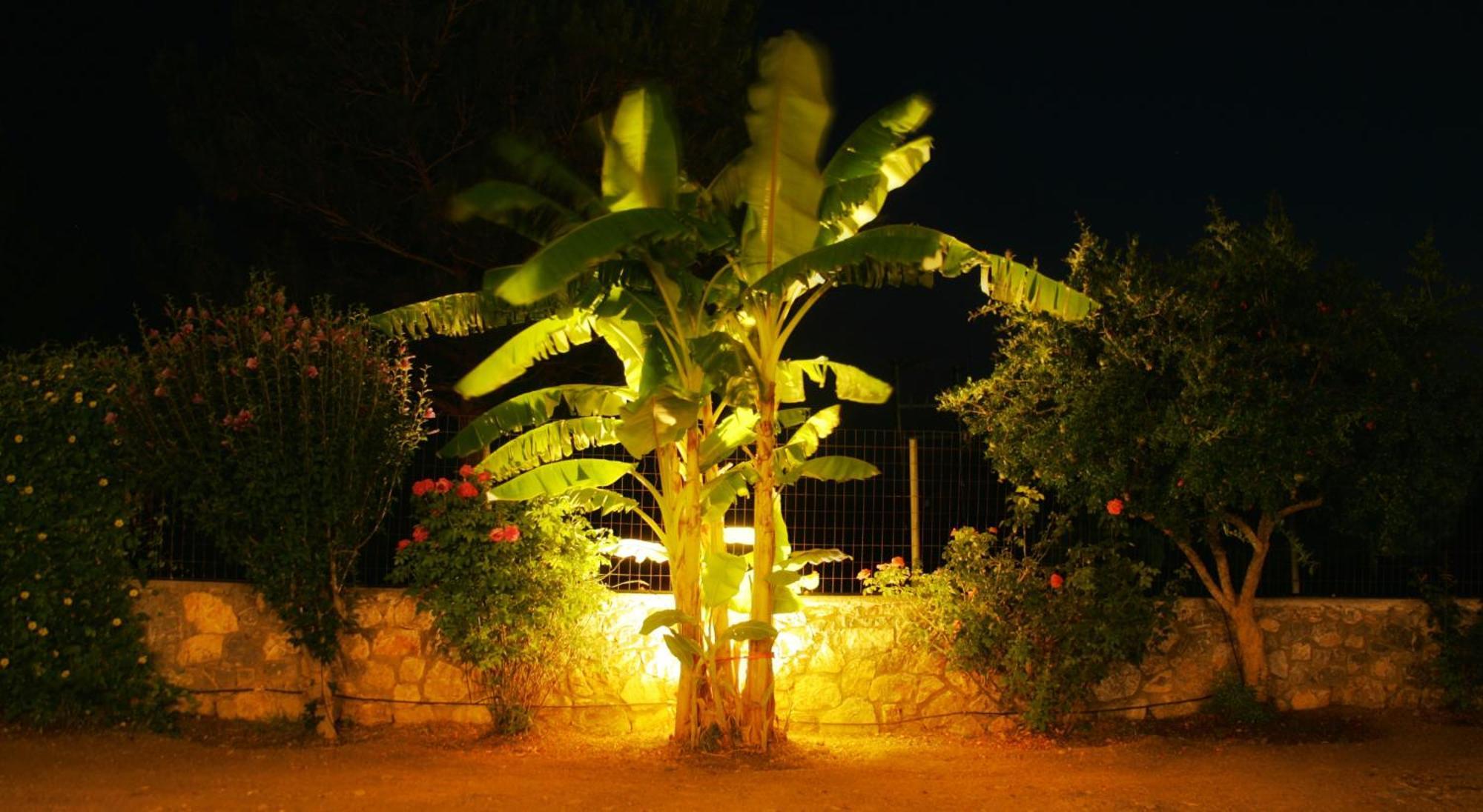 Dora'S House Villa Istrios Ngoại thất bức ảnh